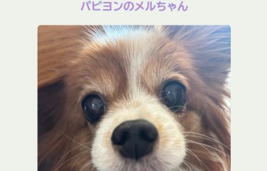 7810